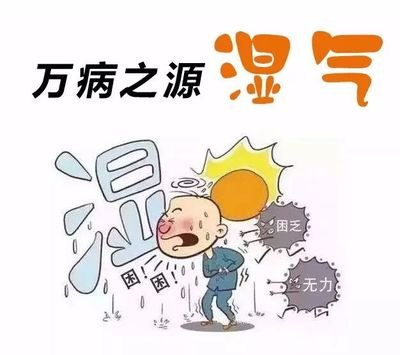 圖片13