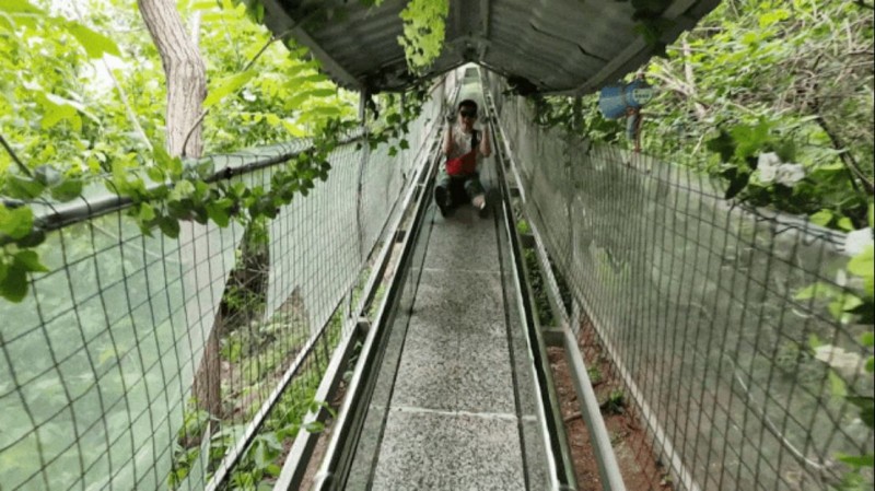 奔赴山野,向幸福出發!阿五人的度假旅游有多快樂552